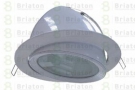 Cветодиодный светильник Down Light BR-DL-006 (30 вт)